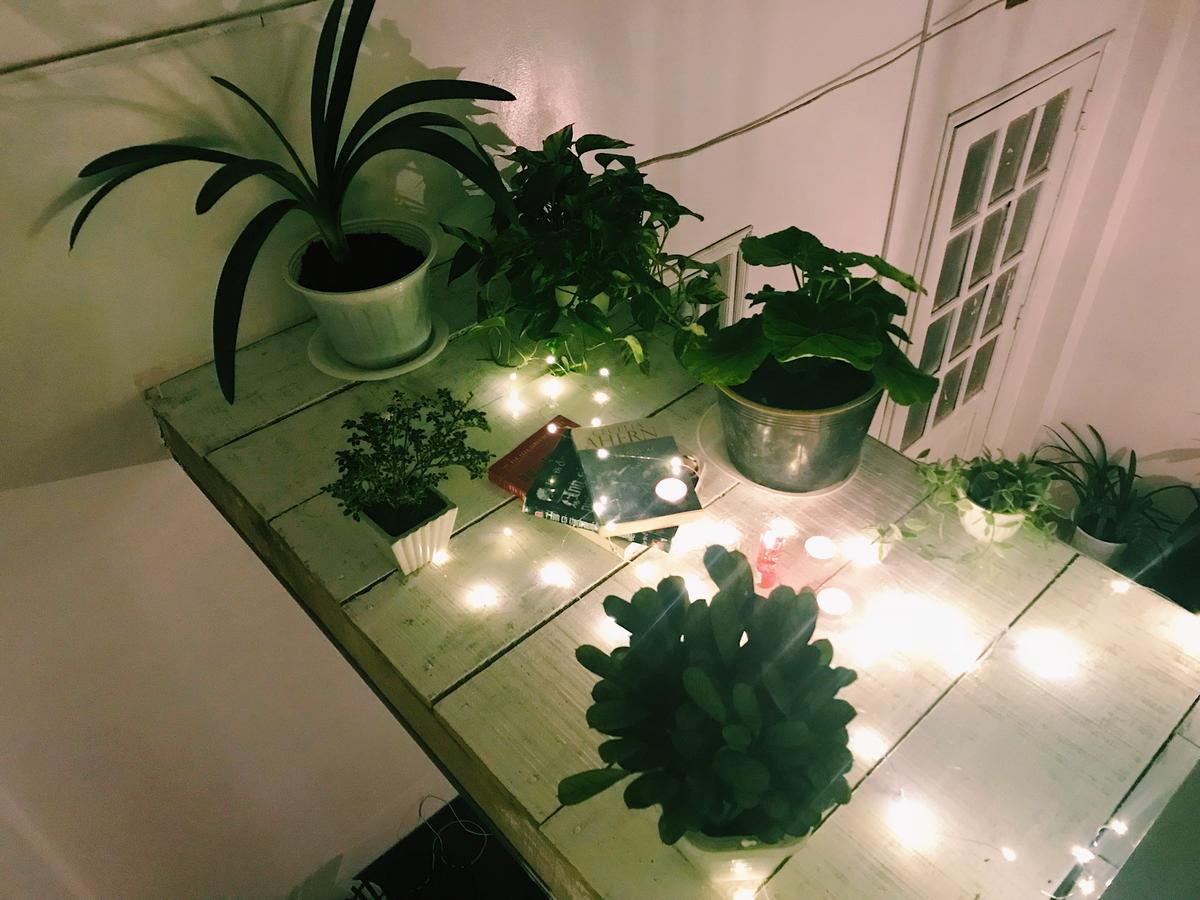 The Balcony Bnb ดาลัด ภายนอก รูปภาพ